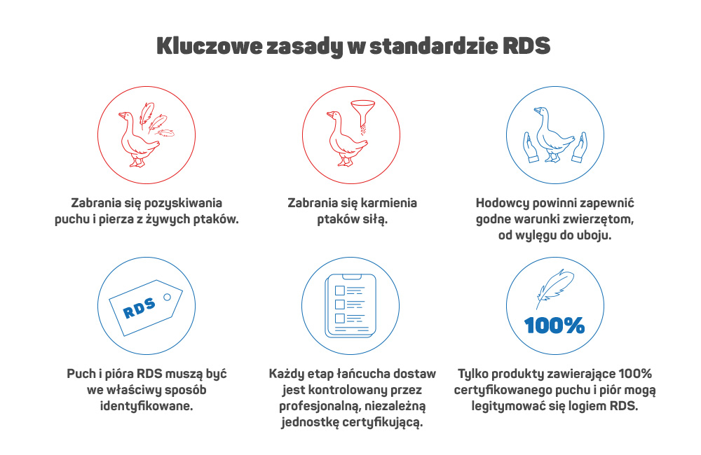 katalog zasad RDS