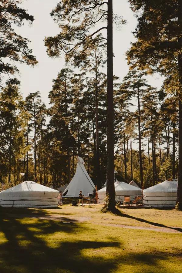 Glamping to cisza i zieleń – najlepszy zestaw kojący nerwy.