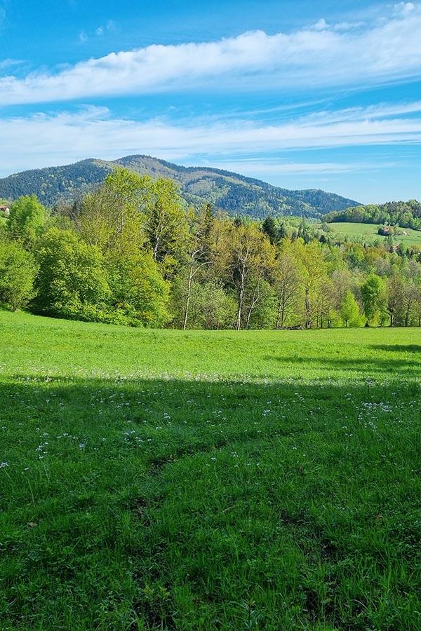 Drugi etap Małego Szlaku Beskidzkiego widokowo nie rozczarowuje.