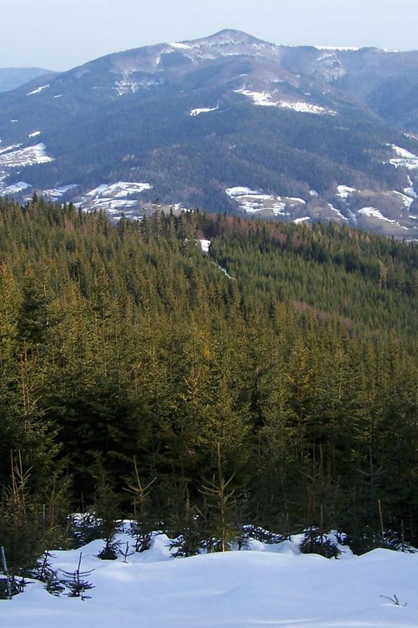 Beskid Wyspowy charakteryzuje się samodzielnymi zazwyczaj szczytami z dużą wybitnością. 