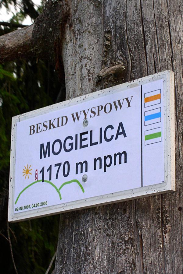 Na Mogielicy znajduje się gęsta sieć szlaków i dróg stokowych.