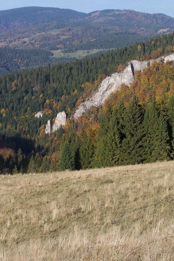Widok z Radziejowej na Małe Pieniny i Beskid Sądecki.