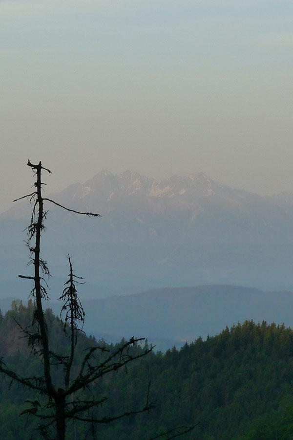 Z wielu polan i szczytów Beskidu Sądeckiego widać Tatry.
