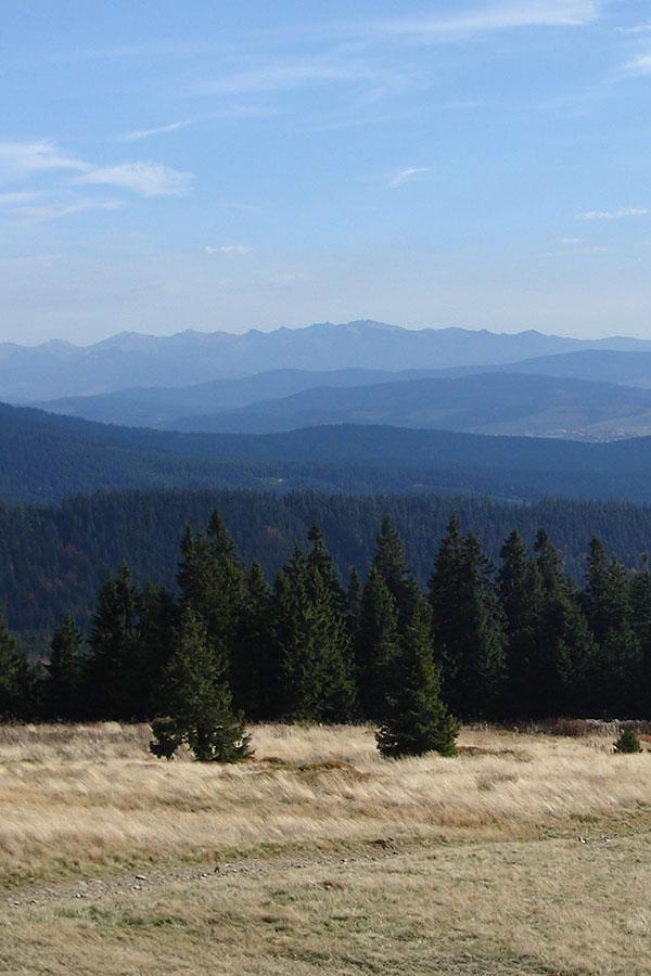 Widok z Hali Rysianka na Tatry.