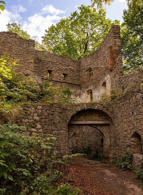 Ruiny Zamku Bolczów.