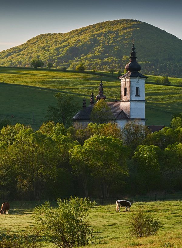 Cerkiew św. Łukasza