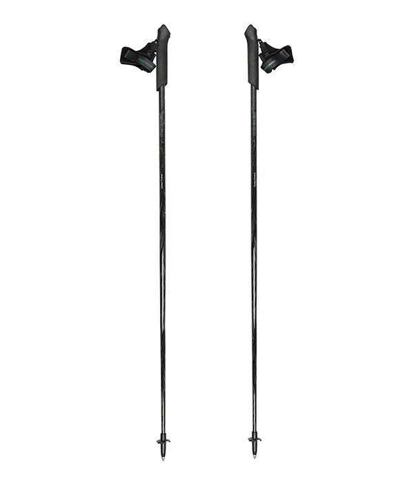 Kije do nordic walking.