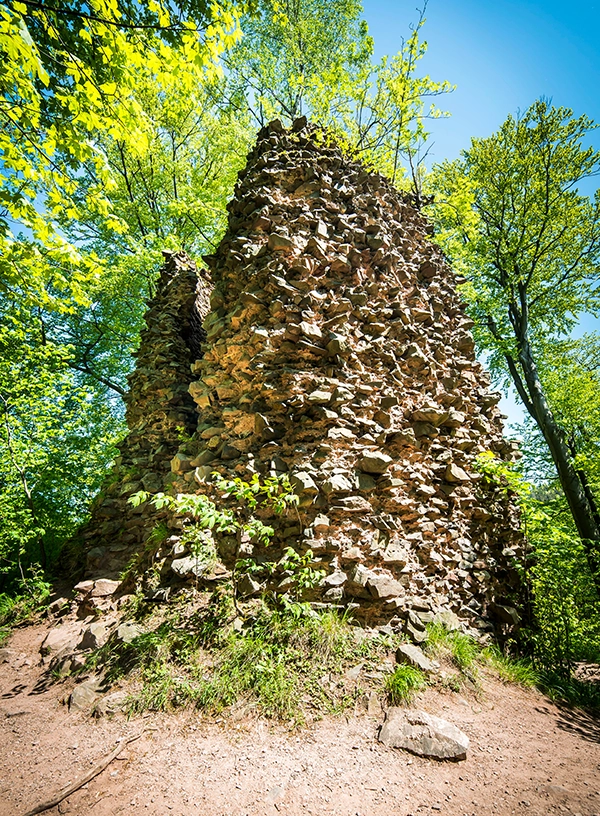 Ruiny Zamku Radosno.