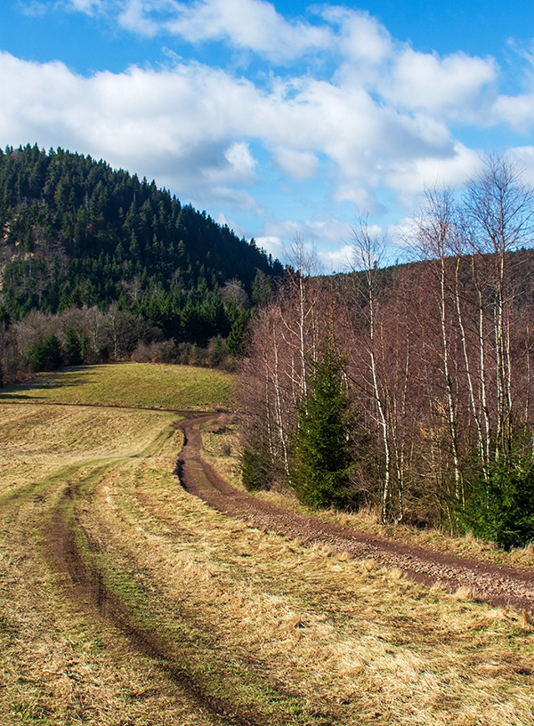 Waligóra.