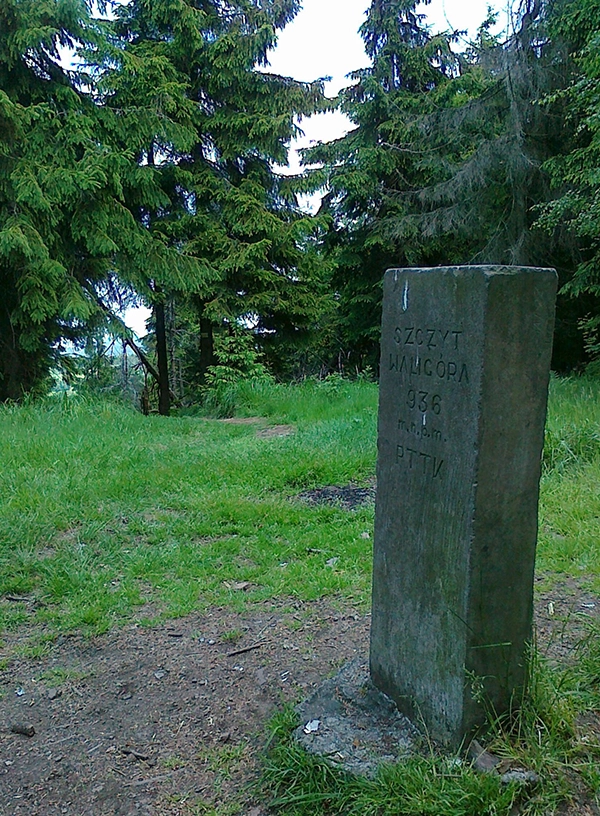 Szczyt Waligóry.