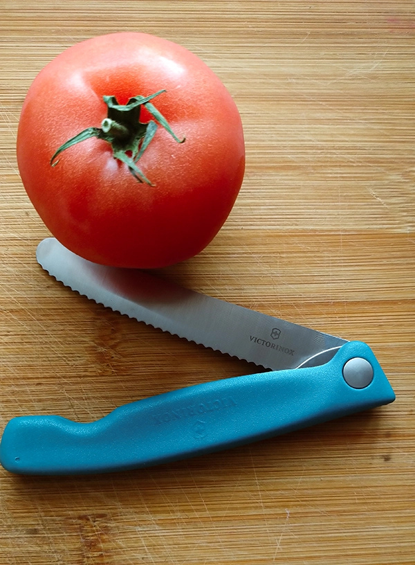 Victorinox Swiss Classic