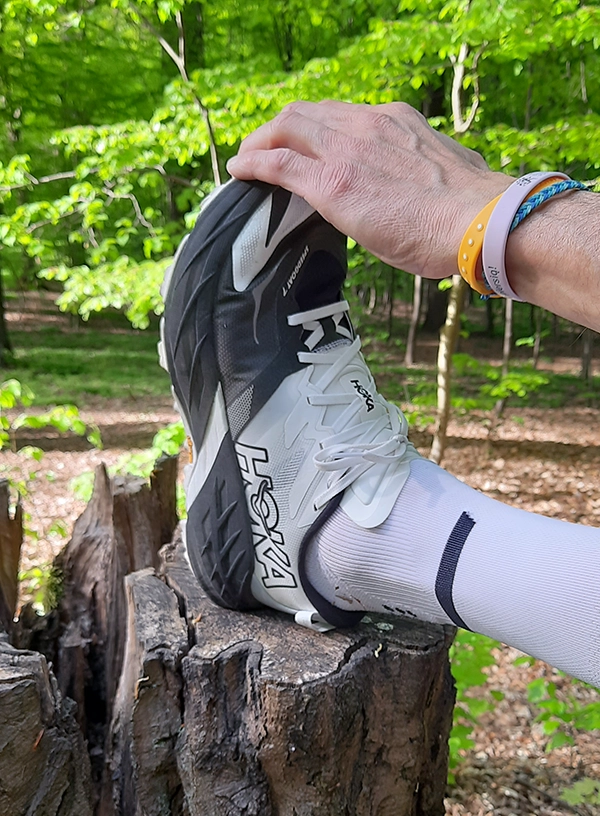 Hoka Speed Goat.