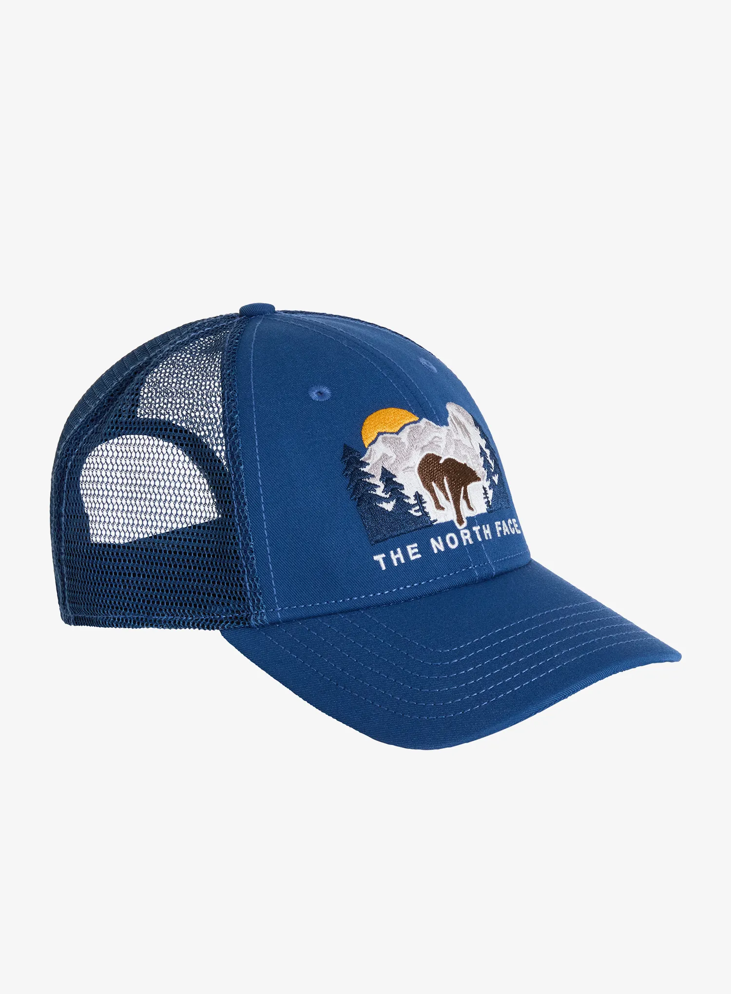 qweTheNorthFaceEmbroideredMudderTruckershadybluebeargraphic197064984268a.webp