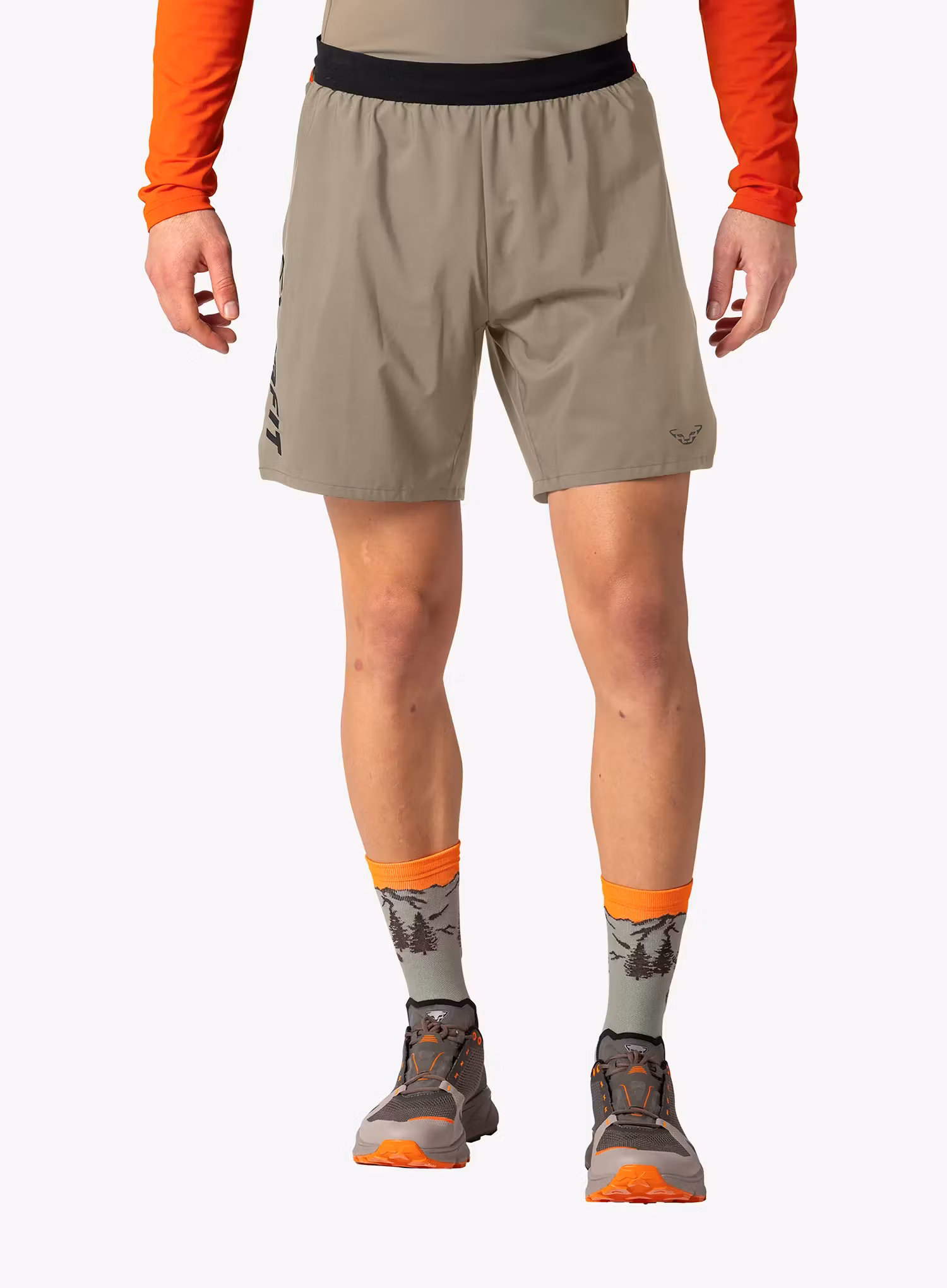 qweDynafitAlpinePro21Shortsfallenrock4053866797191a.webp