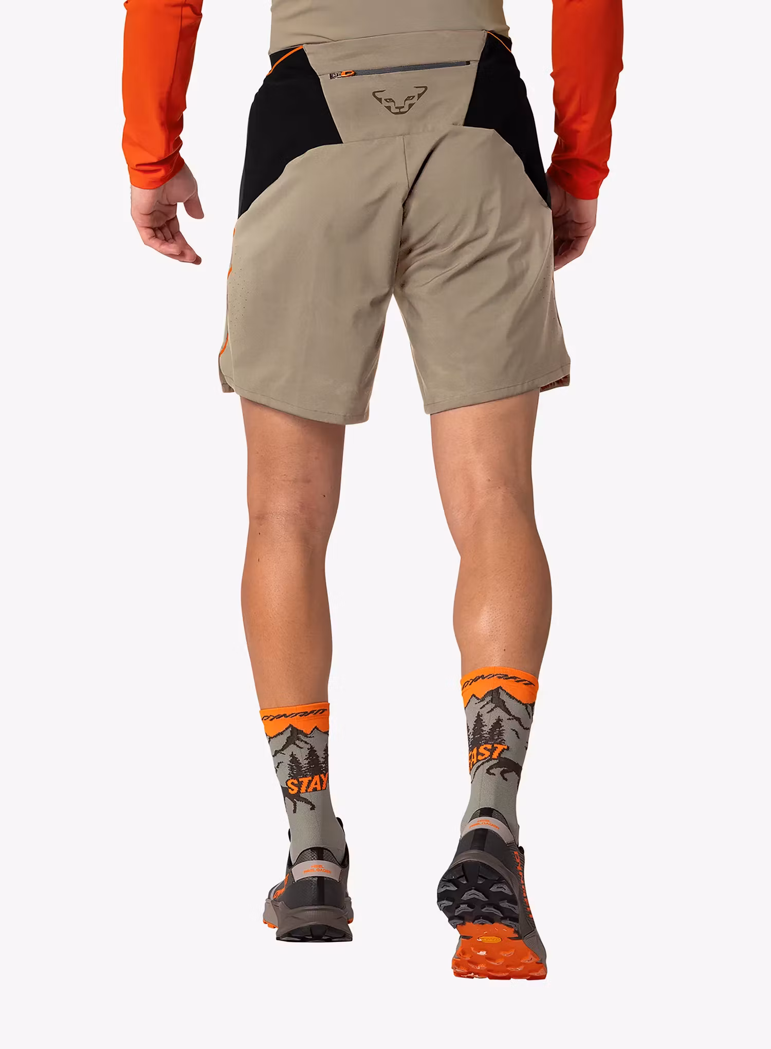 Spodenki do biegania Dynafit Alpine Pro 2/1 Shorts - fallen rock