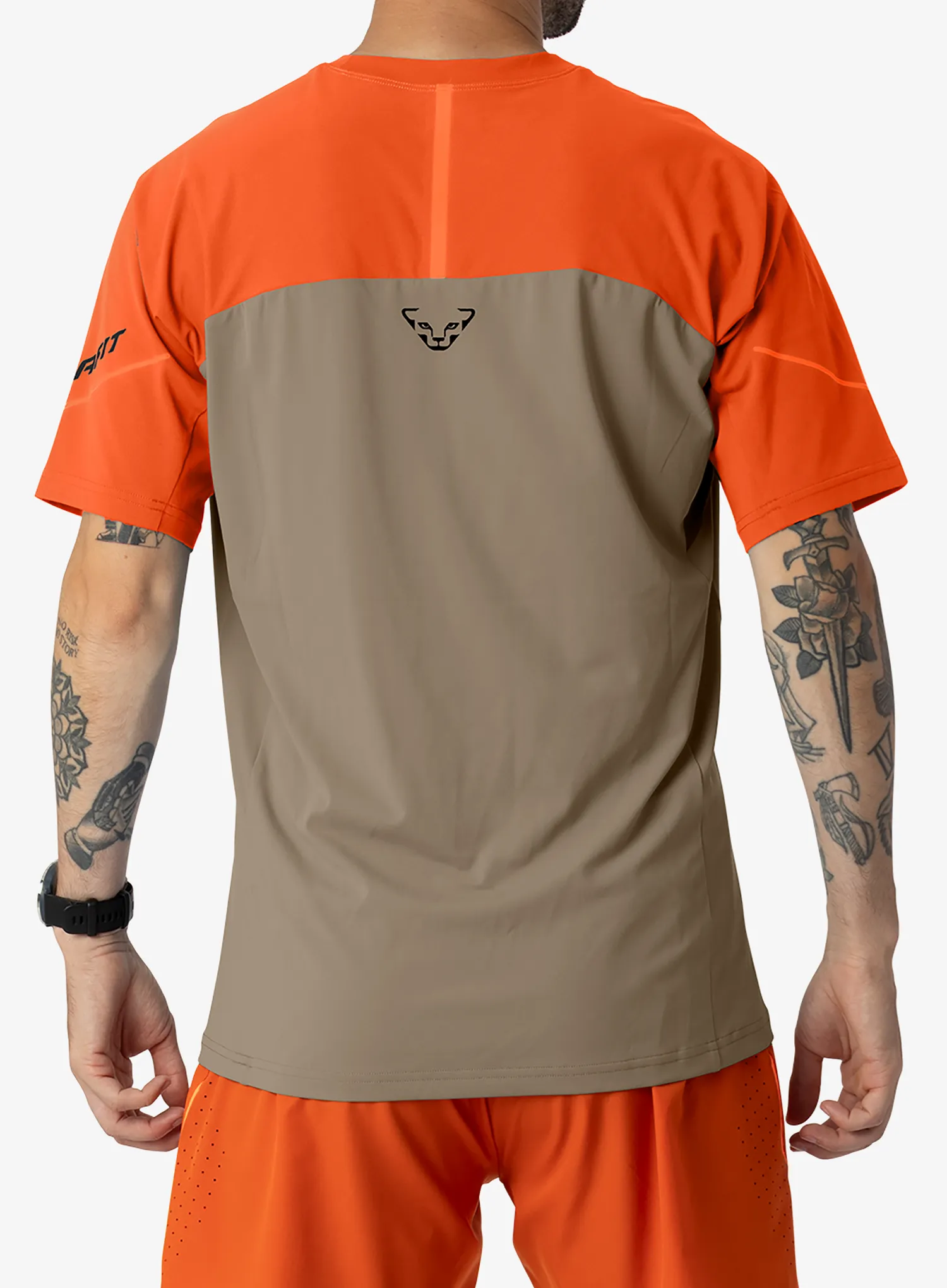 Koszulka biegowa Dynafit Alpine Pro S/S Tee - fallen rock