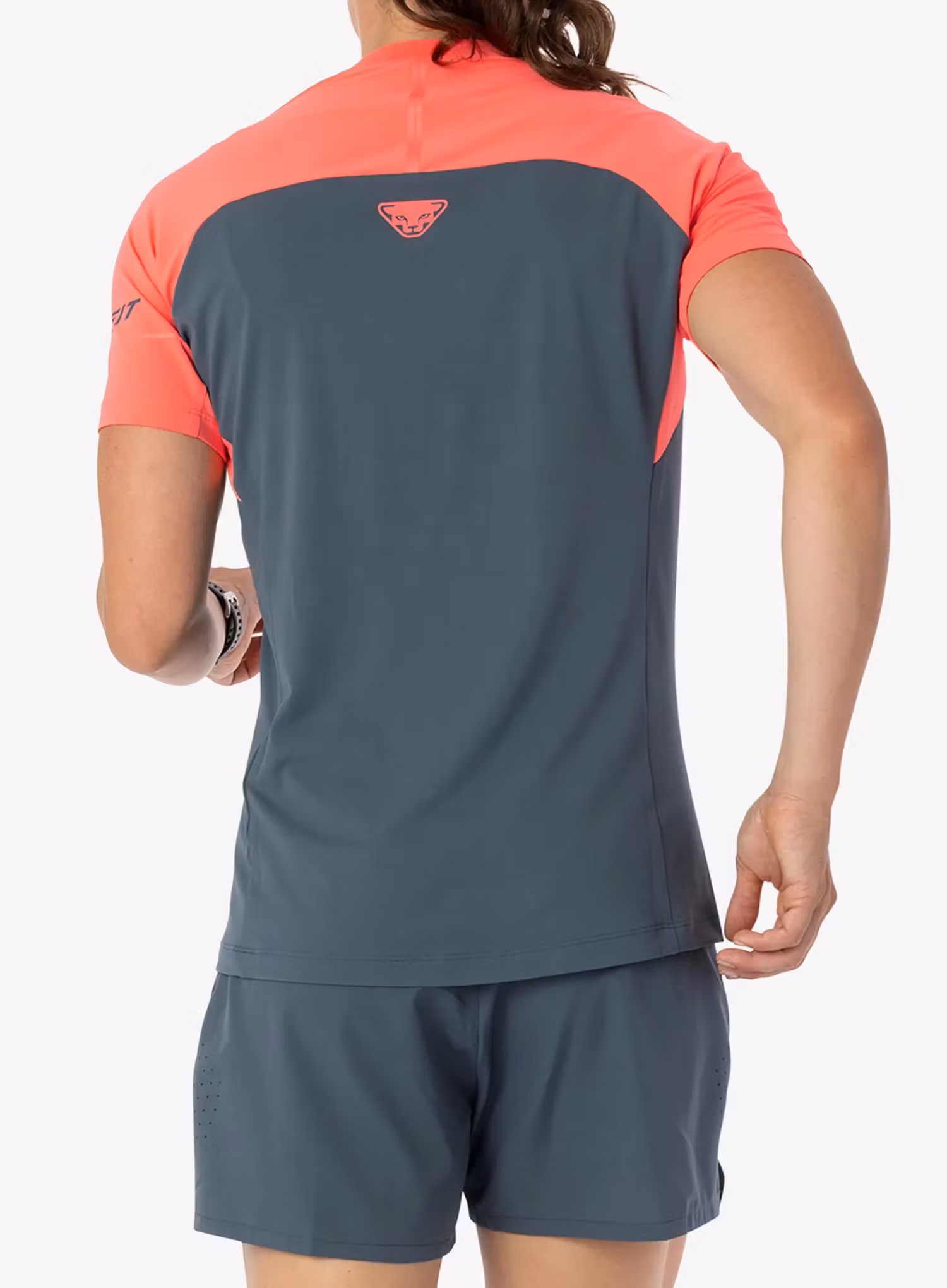 Koszulka szybkoschnąca damska Dynafit Alpine Pro S/S Tee - cinder/cinder