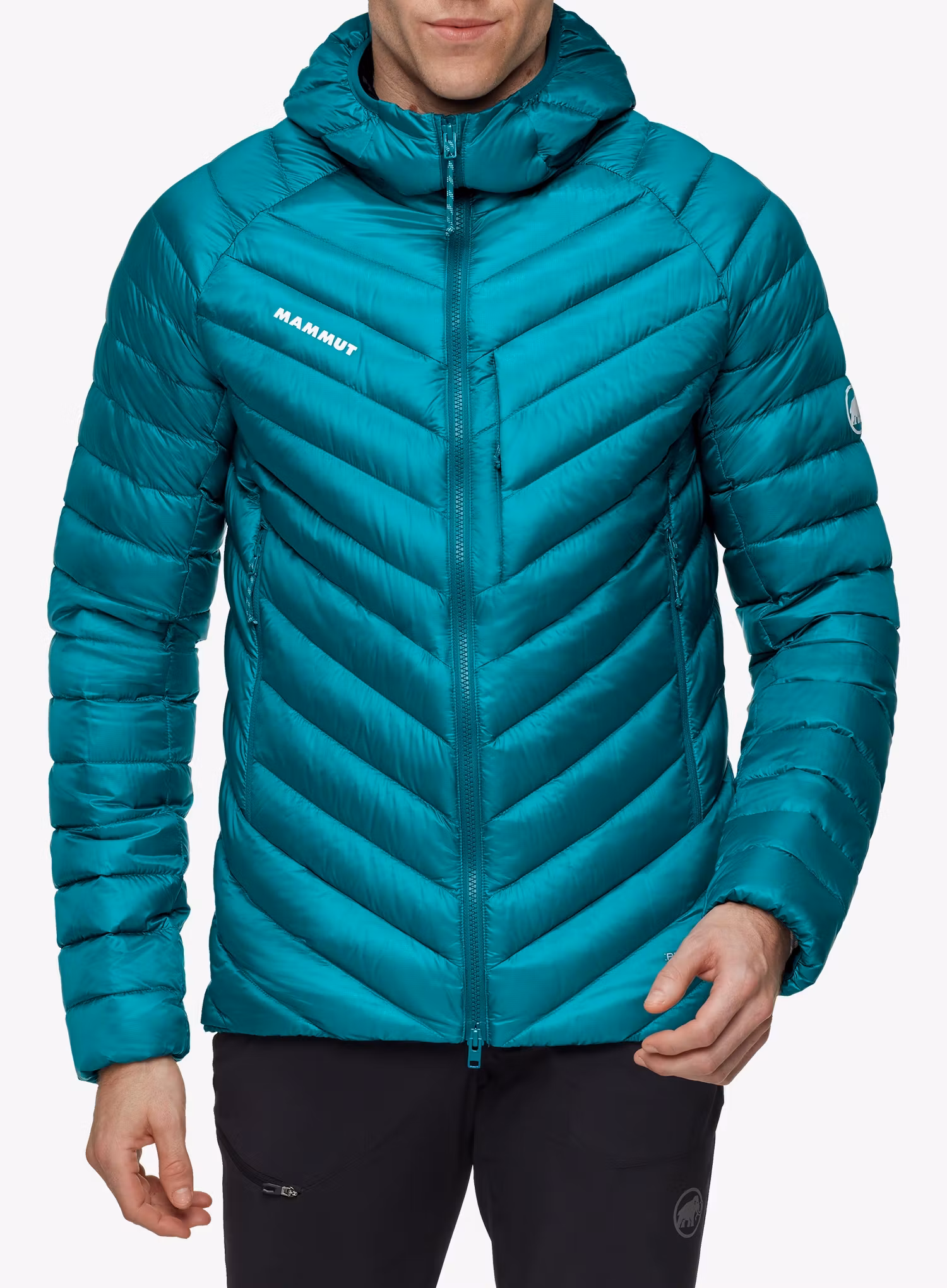 qweMammutBroadPeakINHoodedJacketdeeptealblack7619876795359a.webp