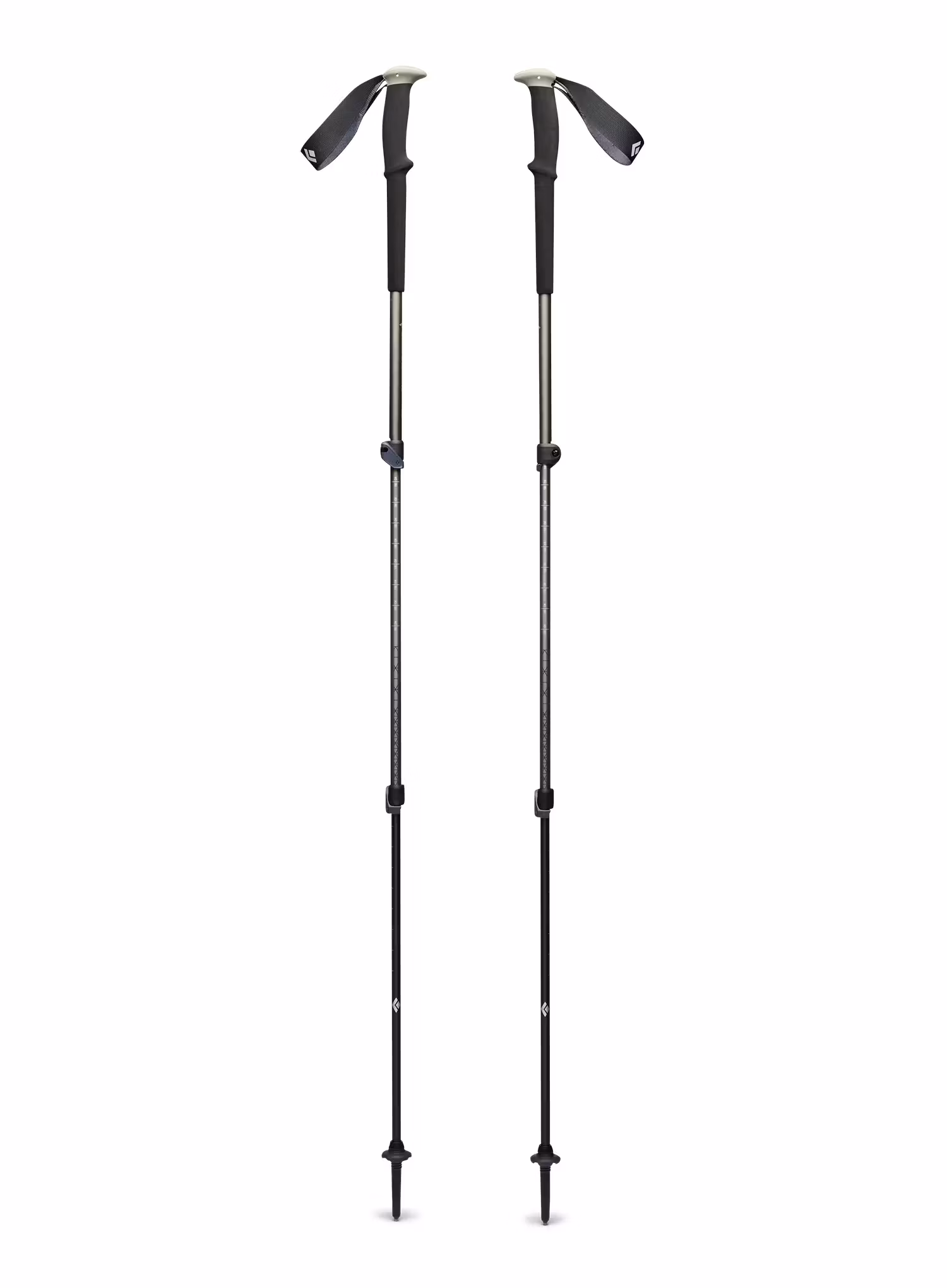 Kije trekkingowe Black Diamond Trail Trekking Poles - pine smoke
