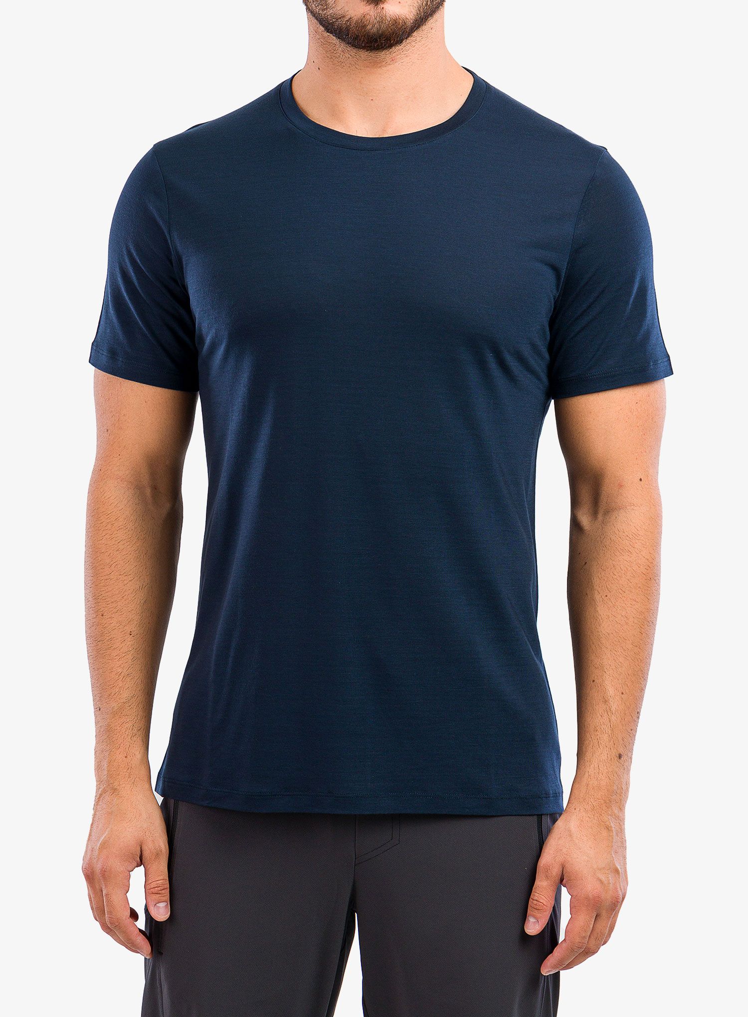 T shirt męski Houdini Tree Tee - blue illusion