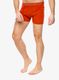 Bokserki termoaktywne Icebreaker Anatomica Boxers - molten