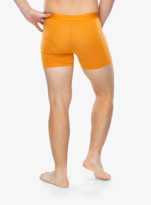 Bokserki termoaktywne Icebreaker Anatomica Boxers - ray