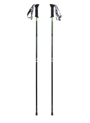 Kije biegowe Rockland Booster