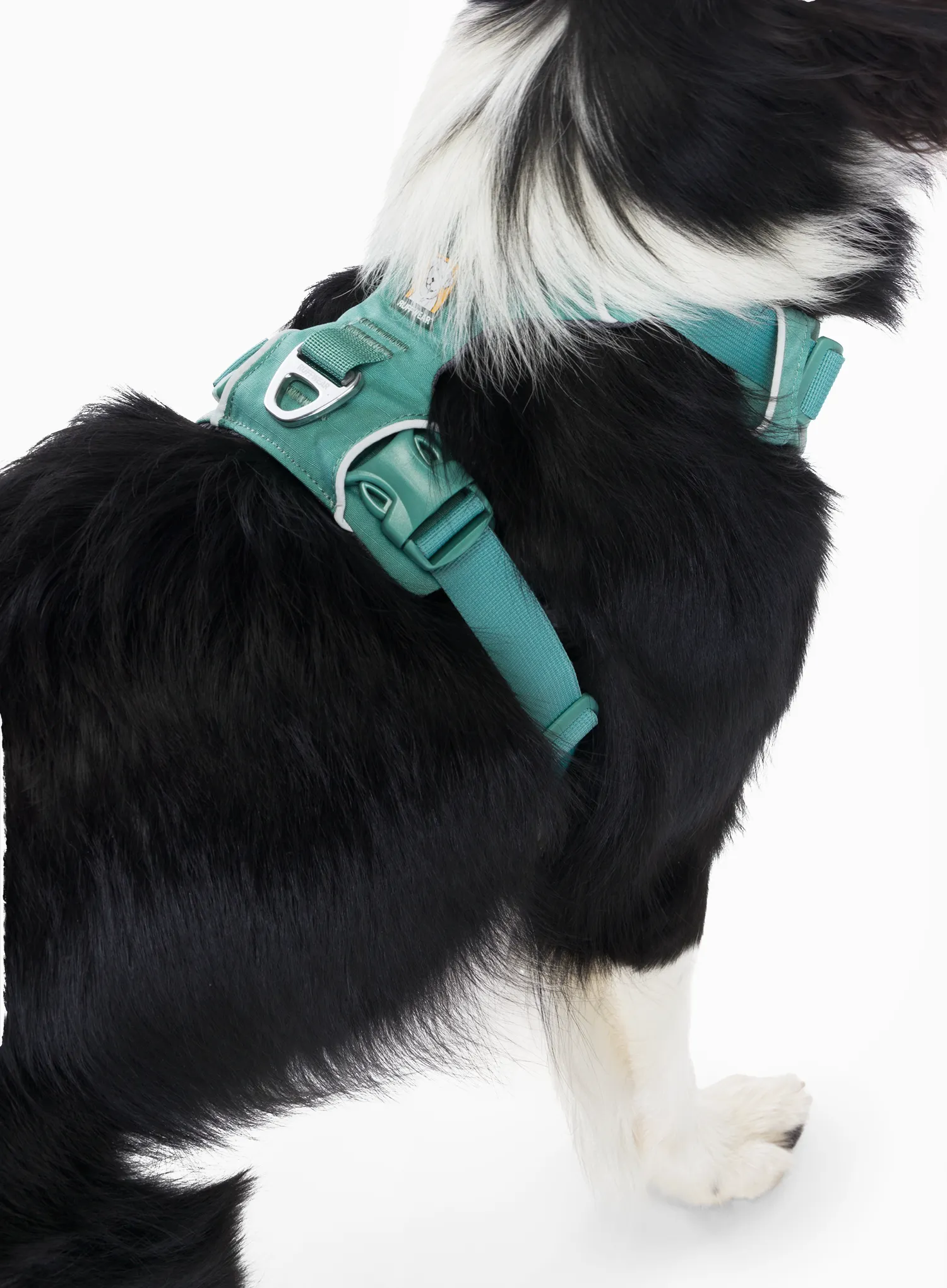 Szelki dla psa Ruffwear Front Range Harness S - river rock green