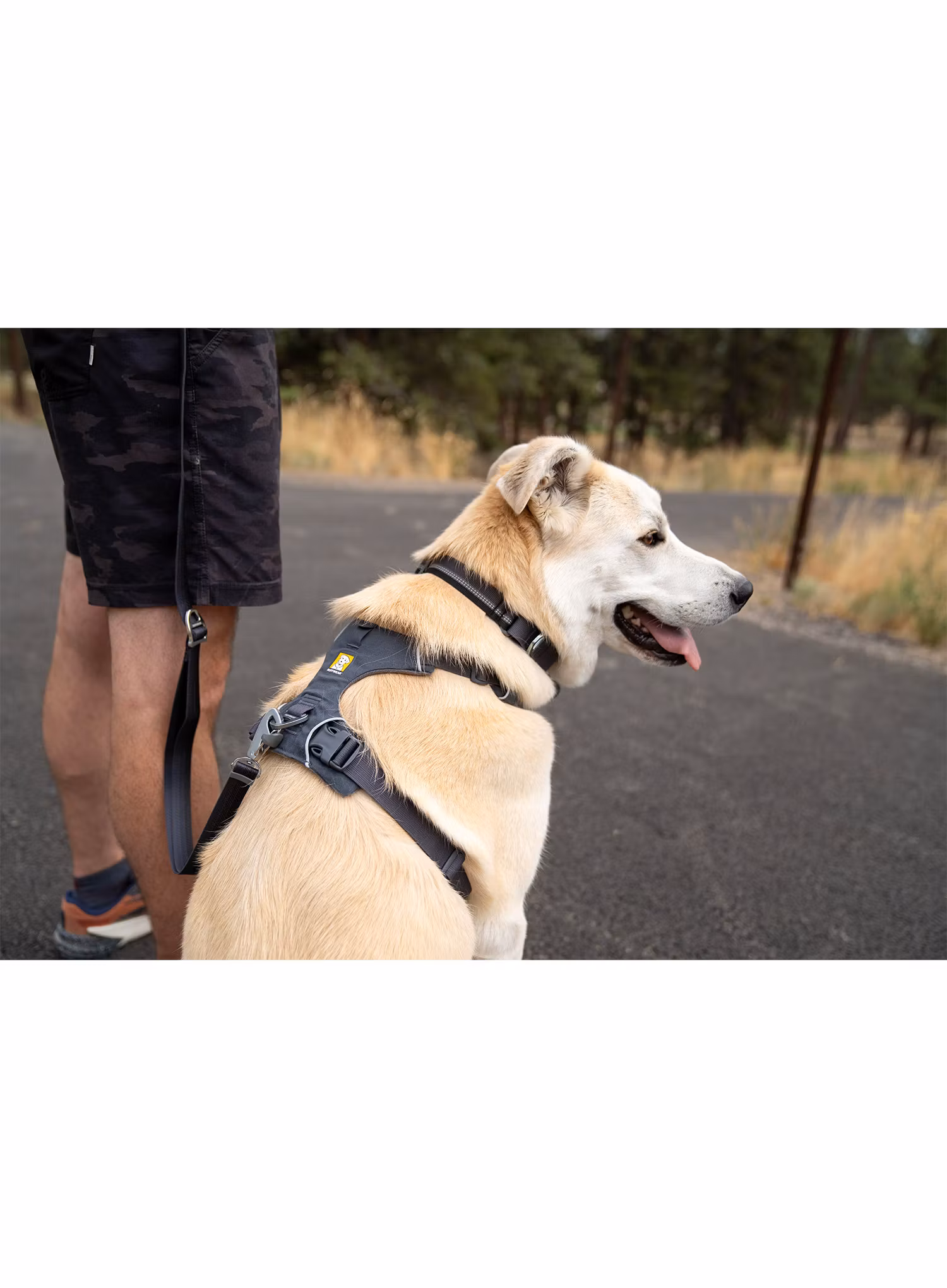 Szelki dla psa Ruffwear Front Range Harness XS - basalt gray