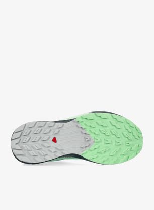 Buty trailowe damskie Salomon Sense Ride 5 GTX - radiance/green ash