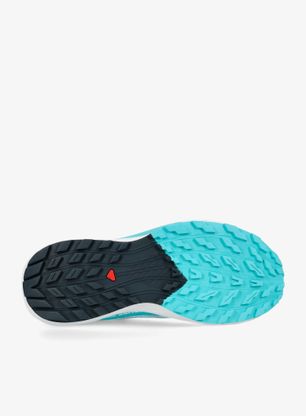 Buty trailowe damskie Salomon Sense Ride 5 - cashmere/carbon/blue