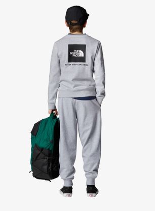 Bluza dziecięca The North Face Redbox Regular Crew - tnf light grey heather