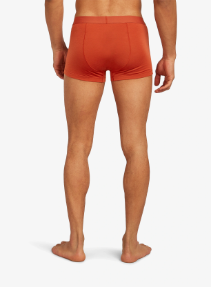 Bokserki termoaktywne Icebreaker Merino 125 Cool-Lite Anatomica Trunks - agate