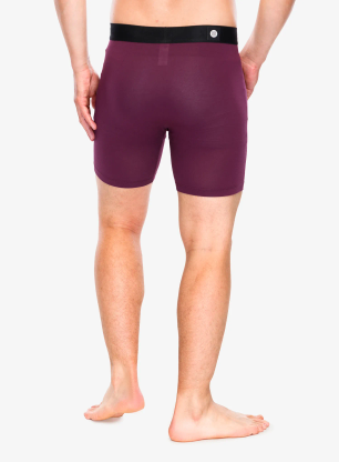 Bokserki termoaktywne Stance Fig Wholester - fig