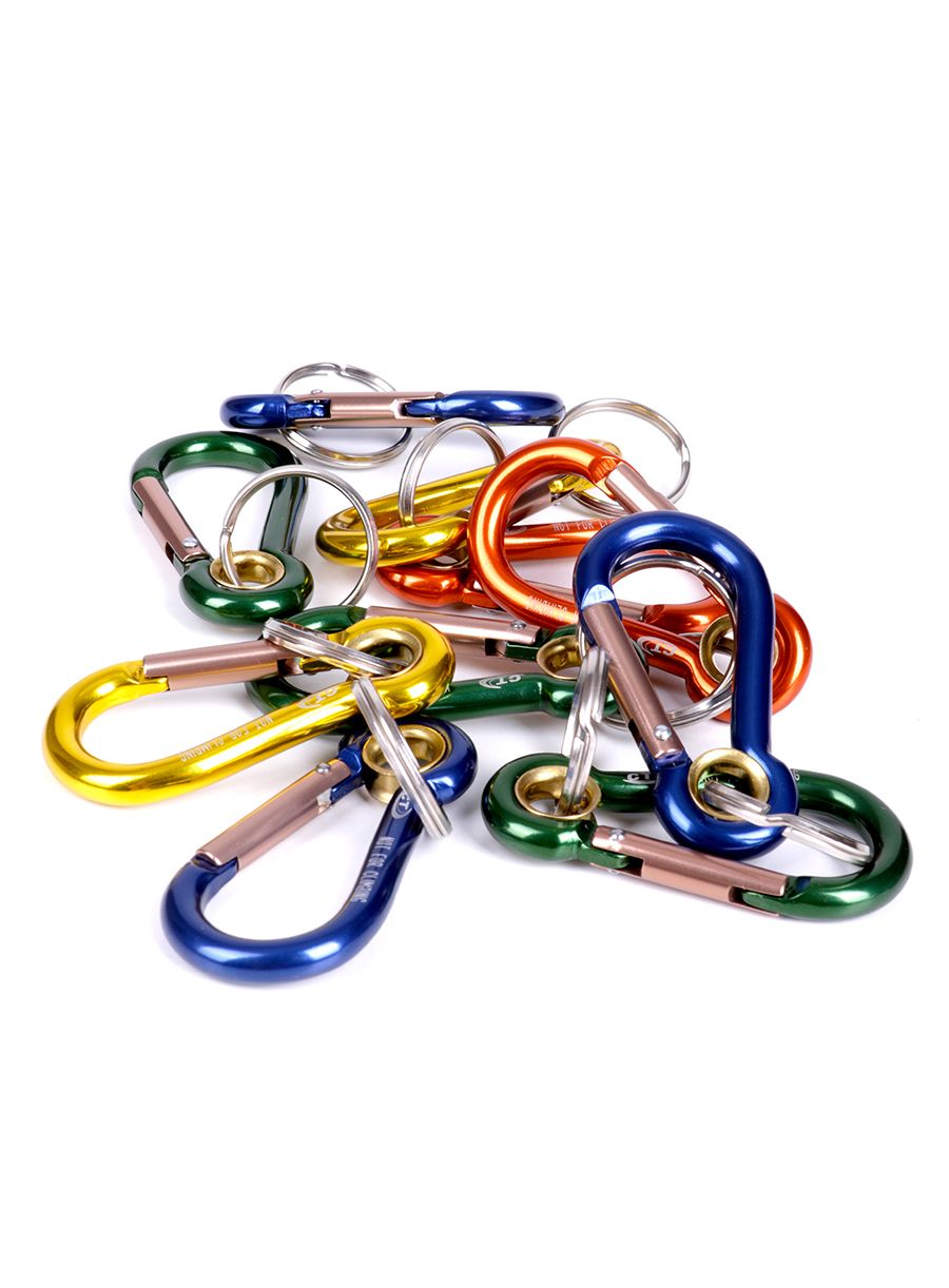 Brelok Climbing Technology/SKYLOTEC Key 504 - assorted