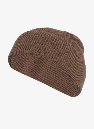Czapka termoaktywna adidas TERREX Xploric Merino Beanie - earth strata