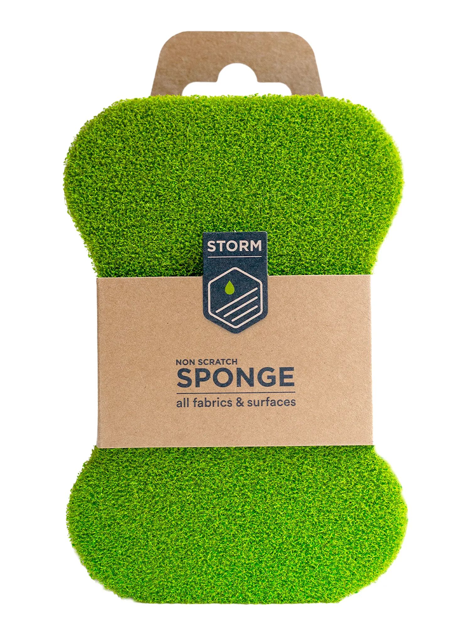 Houba na čištění Storm Non-Scratch Sponge