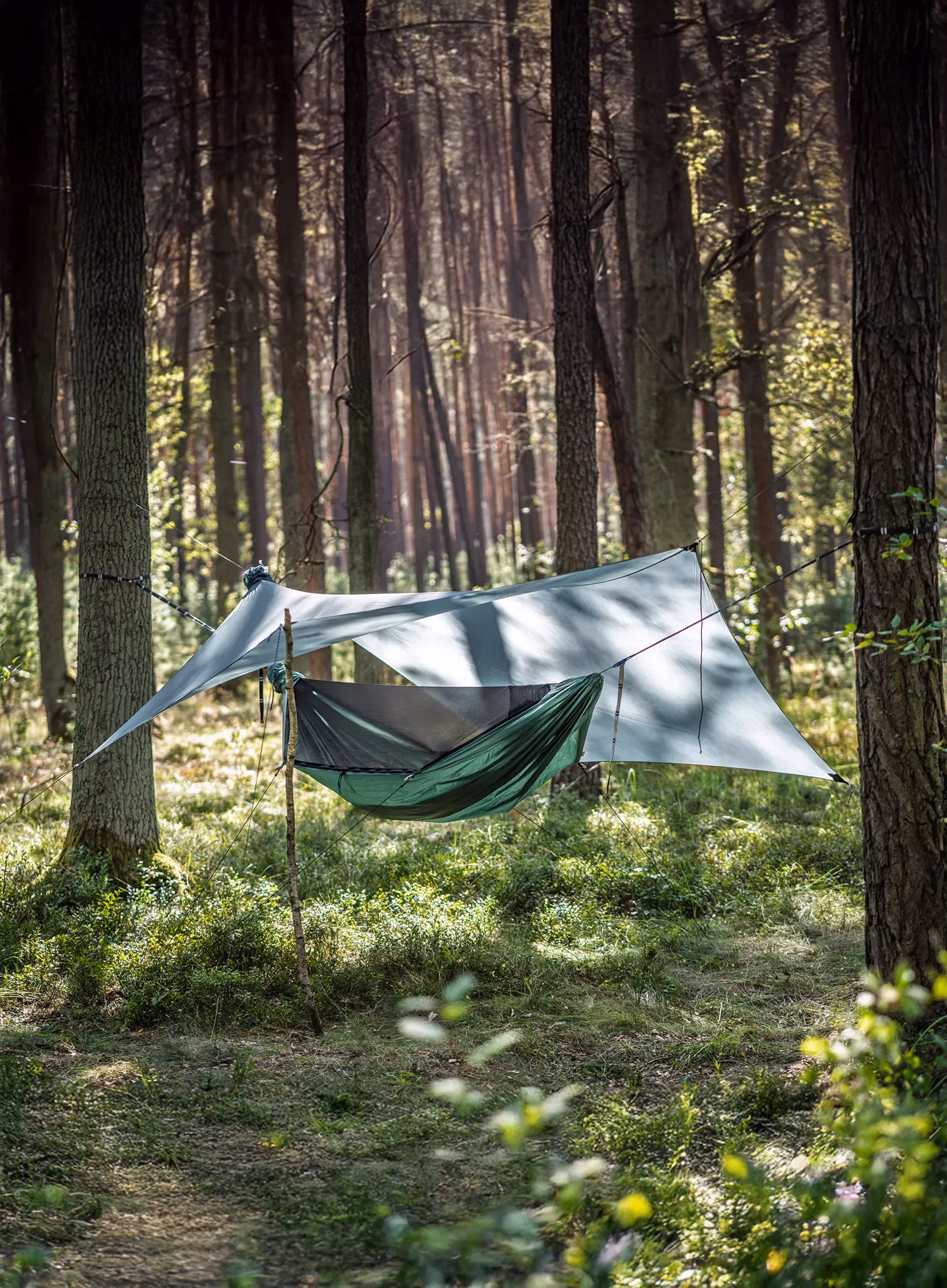 Hamak Lesovik Draka - silver pine