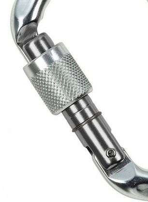 Karabinek wspinaczkowy Climbing Technology/SKYLOTEC D-Shape CF SG - silver