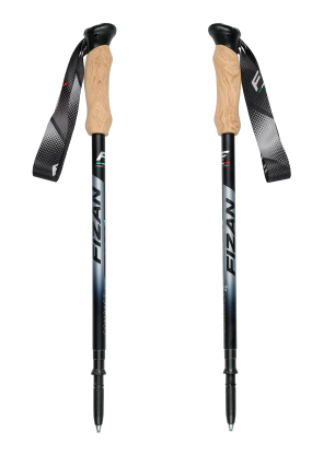 Kije aluminiowe Fizan Compact 4 - grey/grey