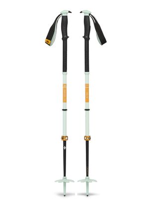 Kije narciarskie Black Diamond Traverse Pro Ski Poles - foam green