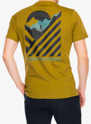 Koszulka bawełniana Dynafit 24/7 Graphic T-Shirt - relic/striped elevation