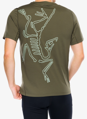 Koszulka biegowa Arcteryx Cormac ArcBird Logo SS - tatsu heather/stone green