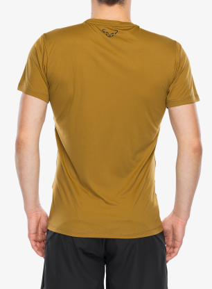 Koszulka biegowa Dynafit Traverse 2 S/S Tee - relic