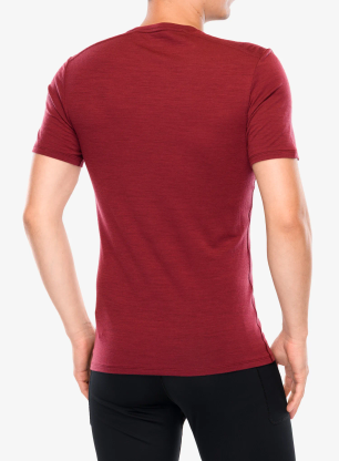 Koszulka termoaktywna Icebreaker Anatomica S/S Crewe - port