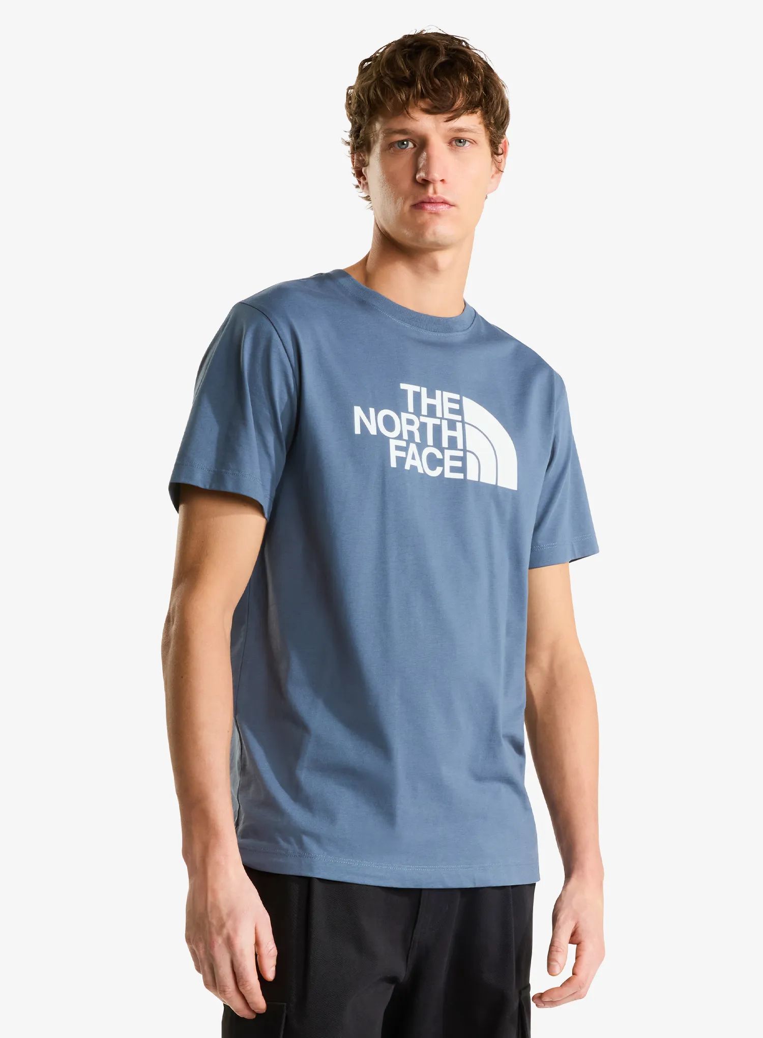 Tričko s potiskem The North Face Evolution Half Dome Regular SS - granite grey