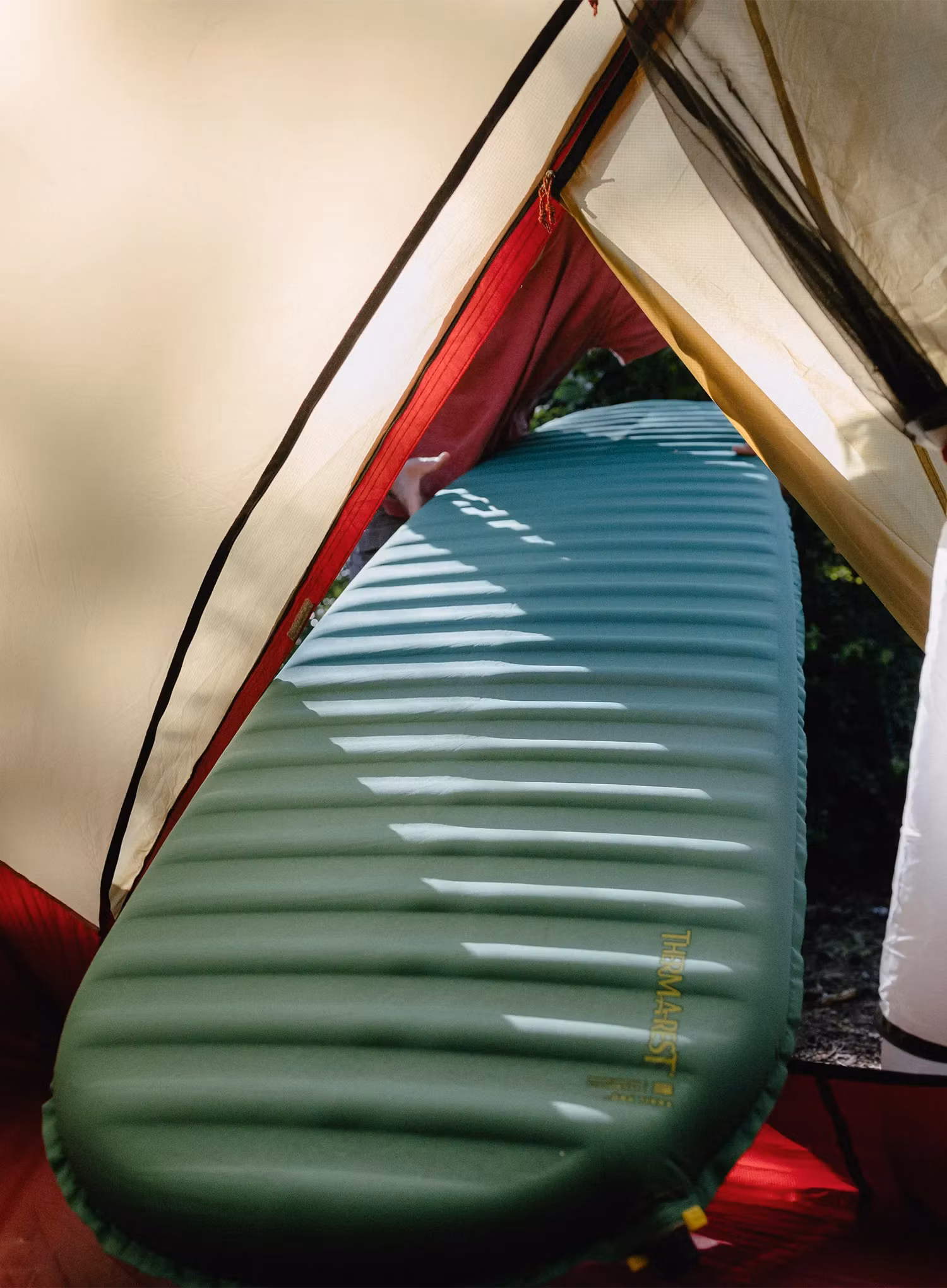 Mata samopompująca Therm a Rest Trail Pro L - pine