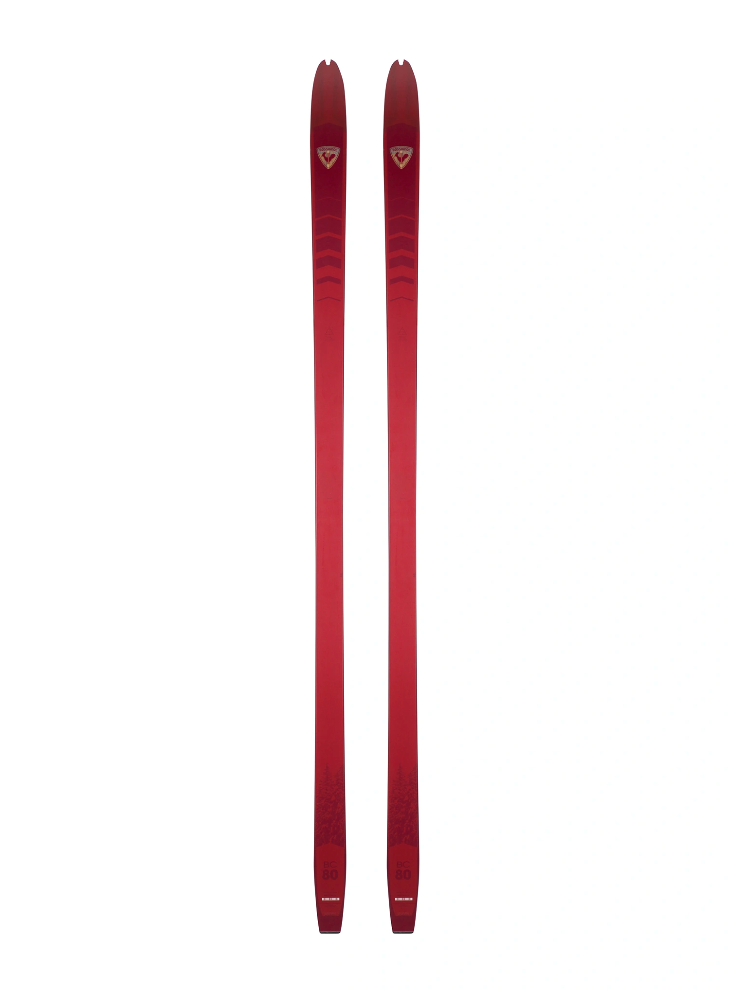 RossignolBC80Positrack_red3607683977352a.webp