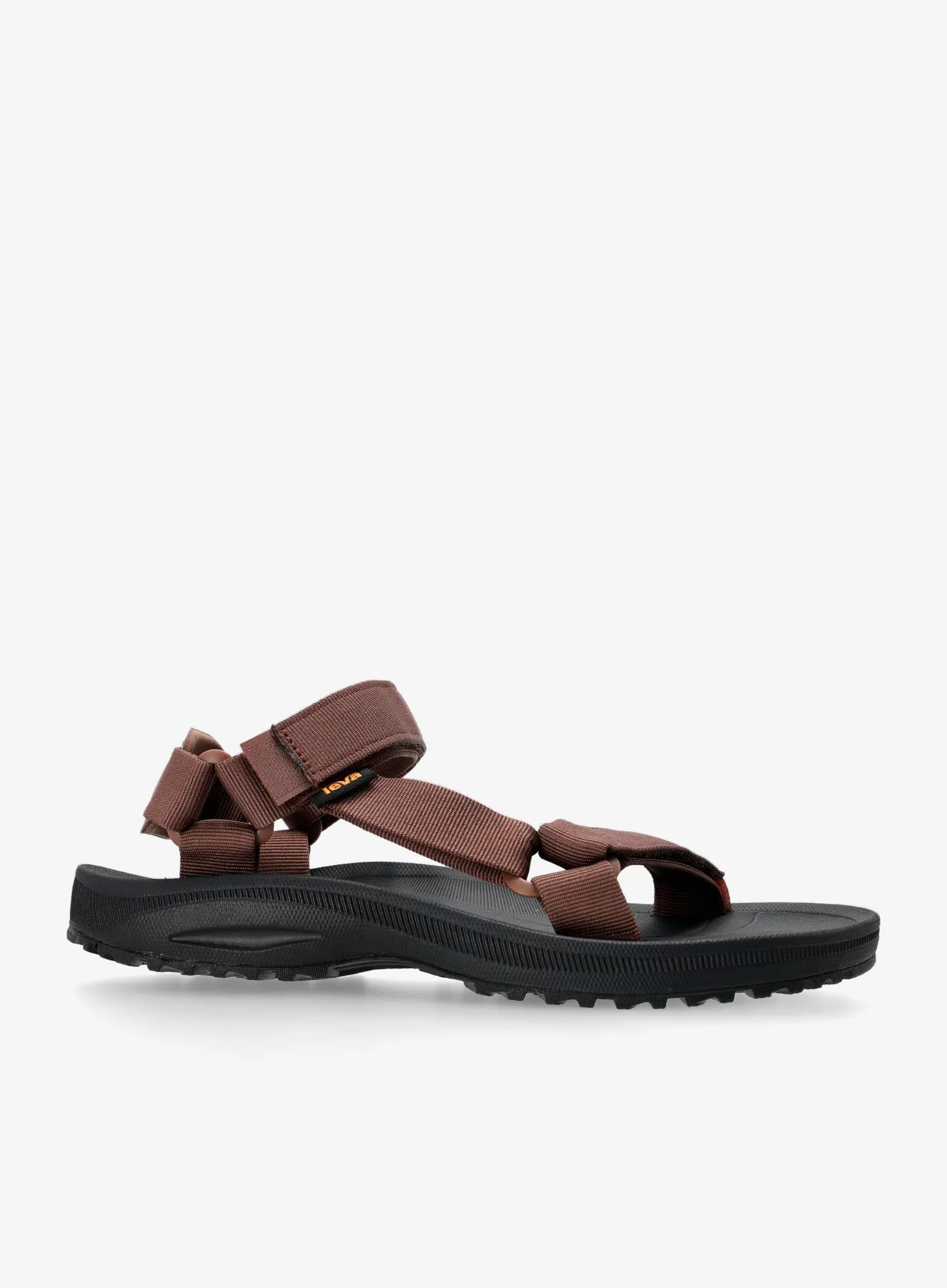 Teva Winsted
