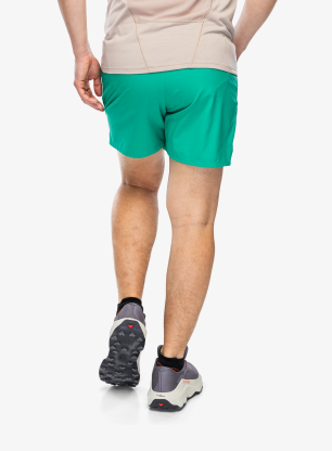 Spodenki męskie Salomon Shakeout Core 5 Shorts - parakeet
